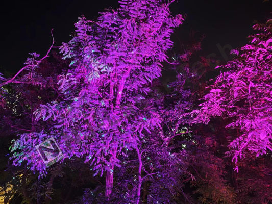 Высокоэффективное RGB блестящее лазерное шоу с лазерным цветом зеленого