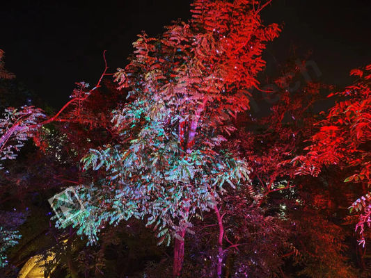 Диапазон температуры 10-35°C Блестящее лазерное шоу с RGB освещением